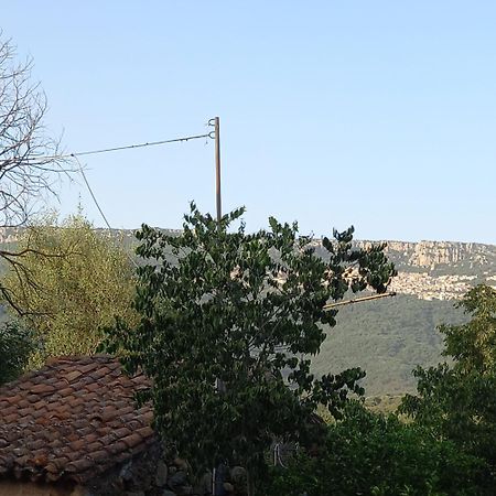 Affitto Bilocale 4 Posti Letto Ardali-Ogliastra Apartment Exterior photo